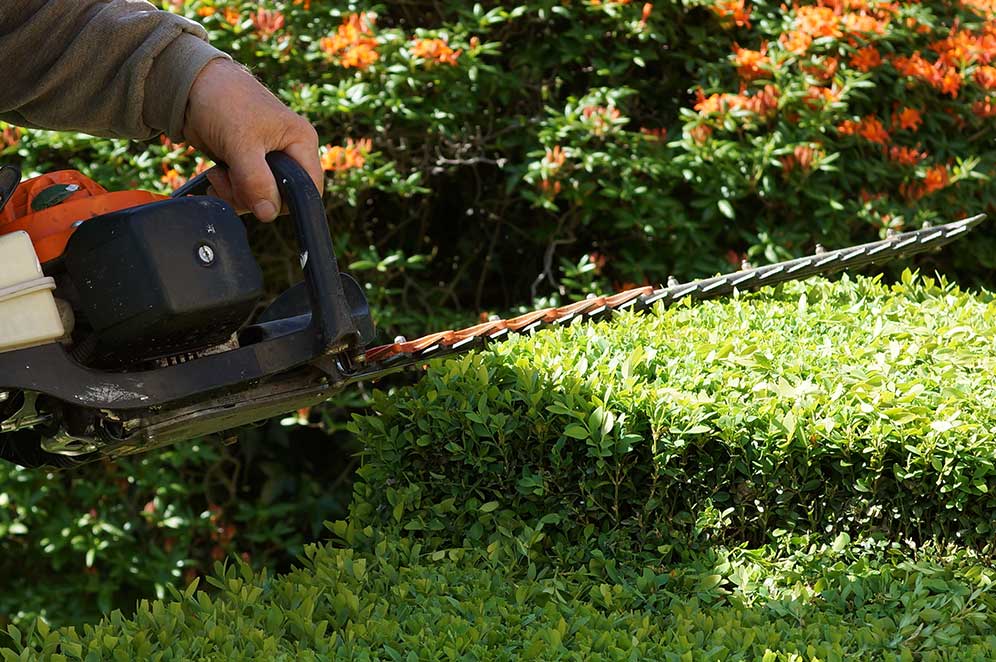 Grounds Maintenance Services